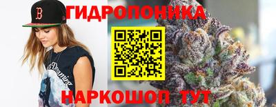 скорость Канаш