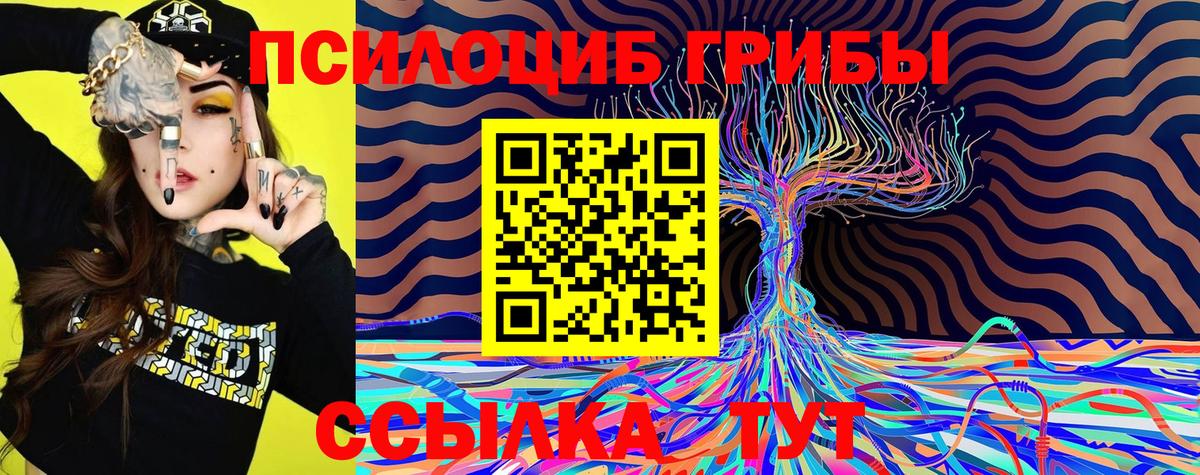 Кунгур  Псилоцибиновые грибы мухоморы  купить наркотики цена  Вход с VPN 
